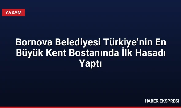 Bornova Belediyesi Türkiye’nin En Büyük Kent Bostanında İlk Hasadı Yaptı